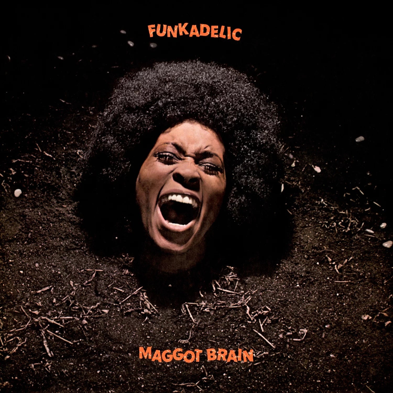 Funkadelic - Maggot Brain – musiclabmx